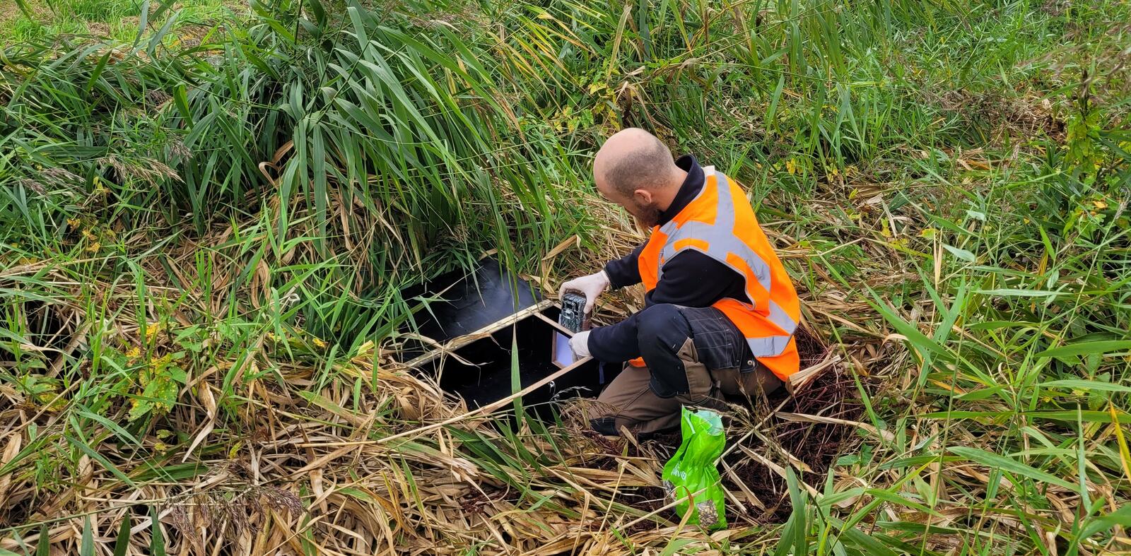 Sietse plaatst een wildcamera in een Mostella om onderzoek te doen naar kleine marterachtigen.